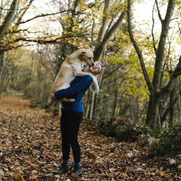 Chien heureux après son toilettage et sa maitresse dans la nature Chien heureux après son toilettage et sa maitresse dans la nature